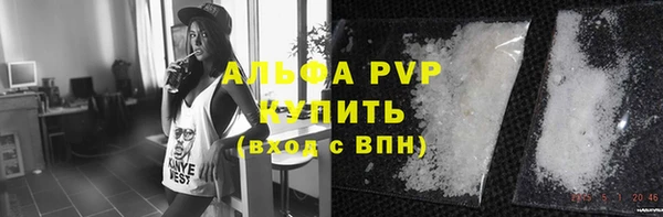 прущие грибы Белоозёрский