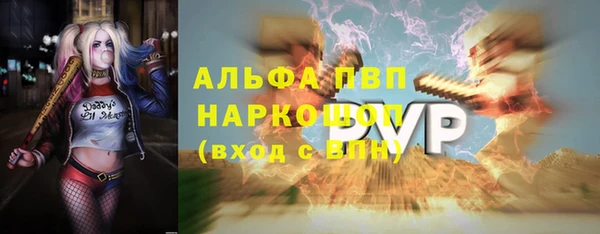 прущие грибы Белоозёрский