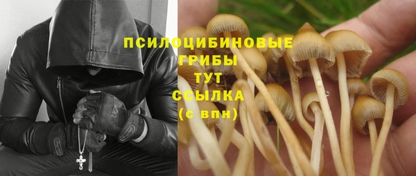 прущие грибы Белоозёрский