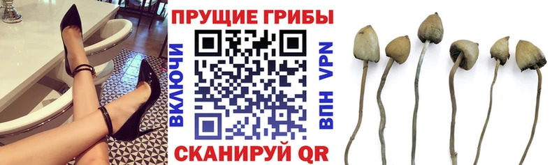 купить закладку  Окуловка  Псилоцибиновые грибы MAGIC MUSHROOMS 